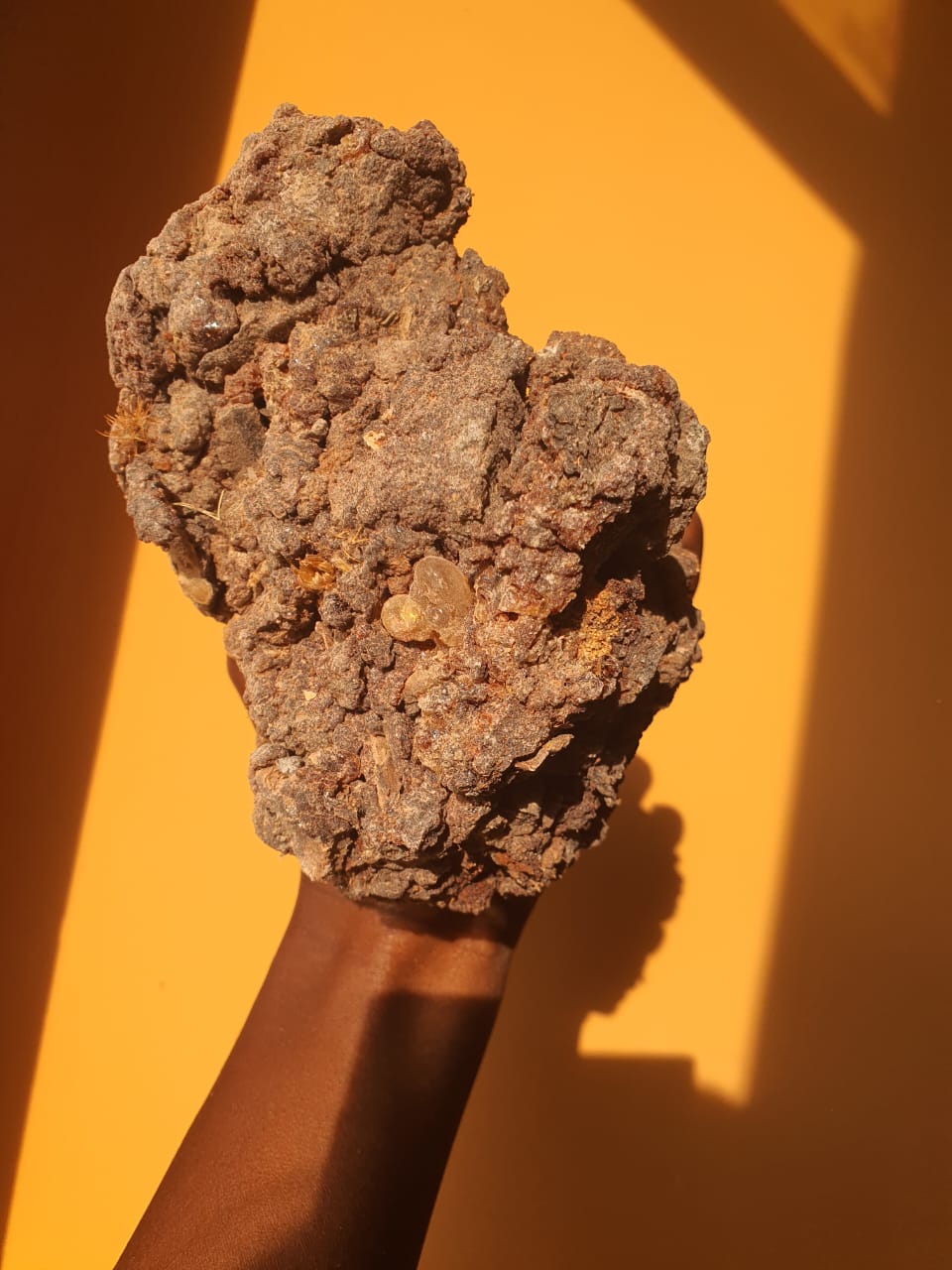 The Journey of Frankincense: Ancient to Modern Uses