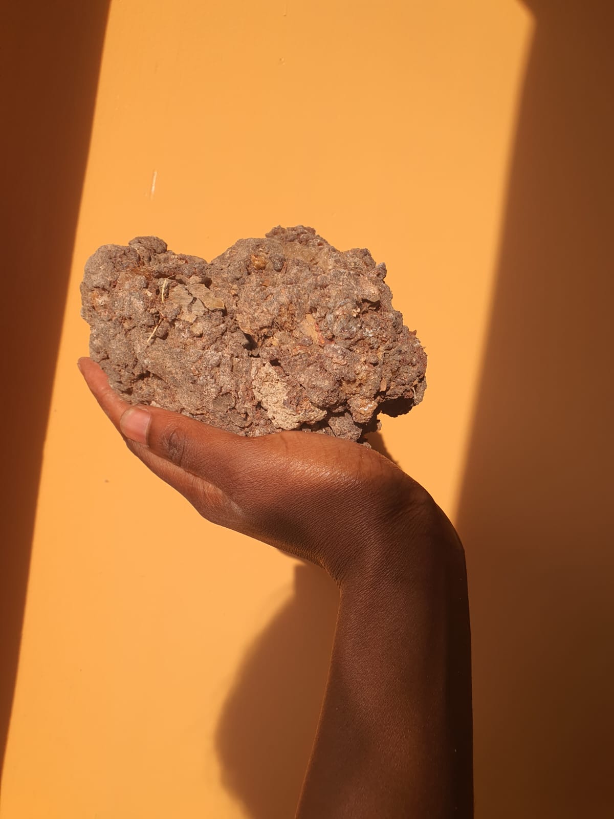 Black Frankincense  ( Boswellia Neglecta)